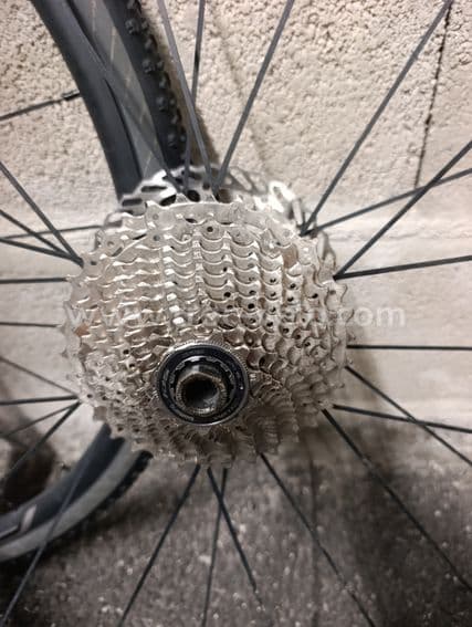 Paire de roues Shim - 4
