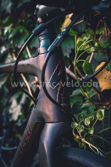 Specialized Diverge Comp 2019 - 7