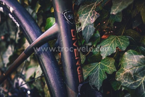 Specialized Diverge Comp 2019 - 10