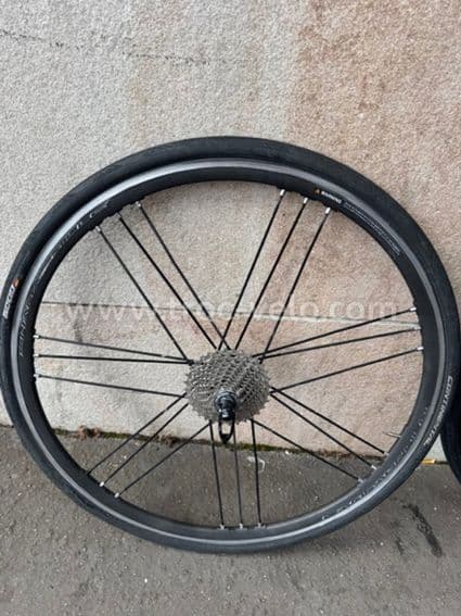 Roue Campagnolo Shamal Mille - 2