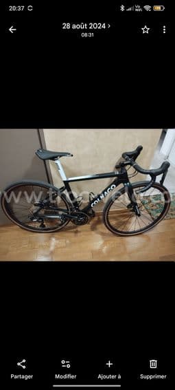 Colnago route/ gravel - 2