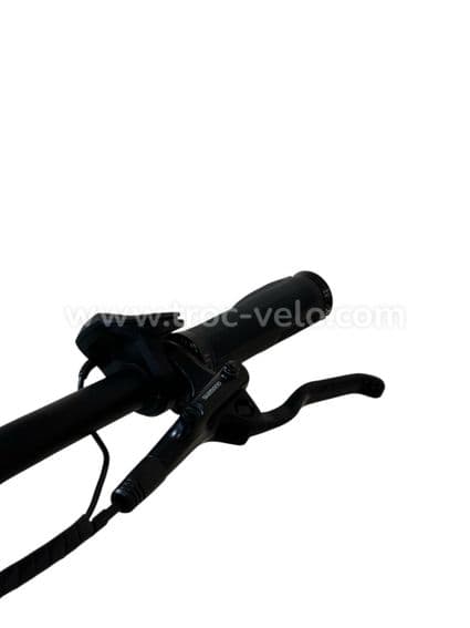 Diamant Mandara Deluxe+ Vélo électrique Shimano Deore 2022 - 5