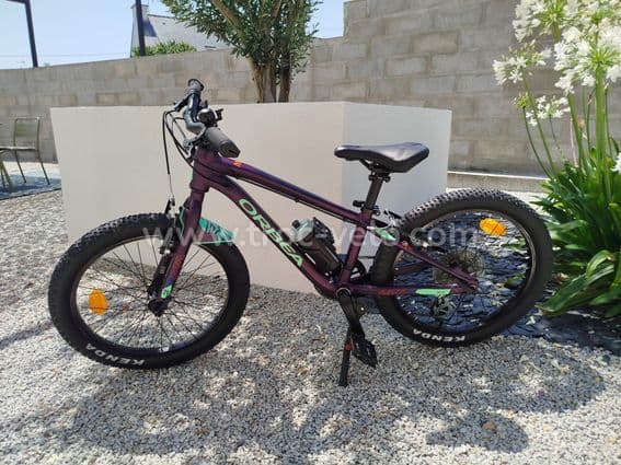 Orbea mx 20 dirt - 2