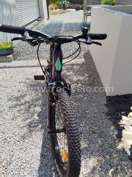 Orbea mx 20 dirt - 5