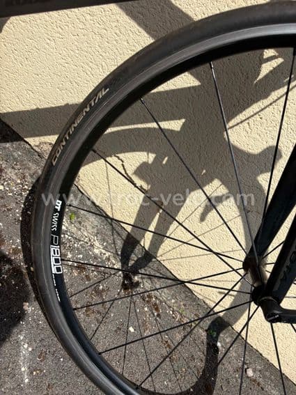 KUOTA KOUGAR - 6