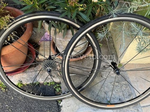 roue shamal - 1