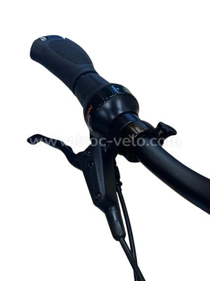Kettler Quadriga T&C Pro Belt Vélo électrique Shimano Nexus 2022 - 5