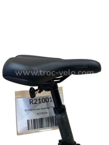 Kettler Quadriga T&C Pro Belt Vélo électrique Shimano Nexus 2022 - 9