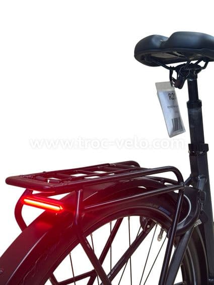 Kettler Quadriga T&C Pro Belt Vélo électrique Shimano Nexus 2022 - 10