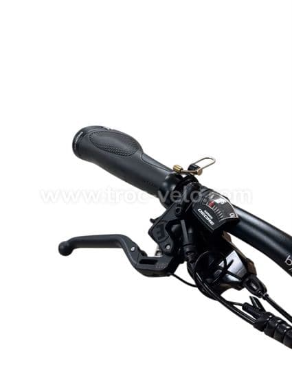 Zemo ZE 10 Vélo électrique Shimano Deore 2021 - 5