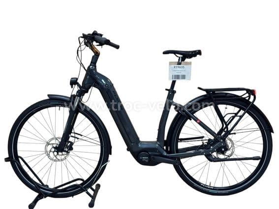 Flyer Gotour2 5,00 Vélo électrique Shimano Nexus 2022 - 2