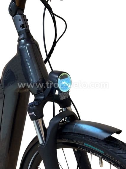 Flyer Gotour2 5,00 Vélo électrique Shimano Nexus 2022 - 4