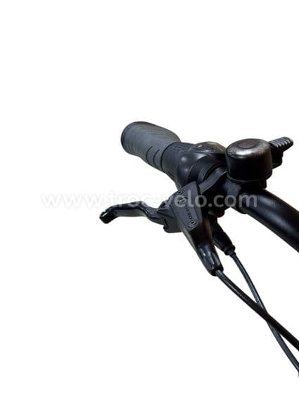 Flyer Gotour2 5,00 Vélo électrique Shimano Nexus 2022 - 5