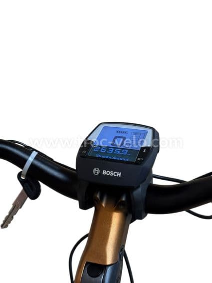 Flyer Gotour2 5,00 Vélo électrique Shimano Nexus 2022 - 8