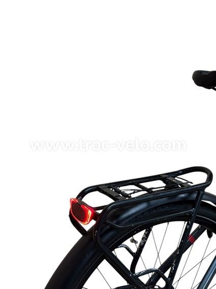 Flyer Gotour2 5,00 Vélo électrique Shimano Nexus 2022 - 10