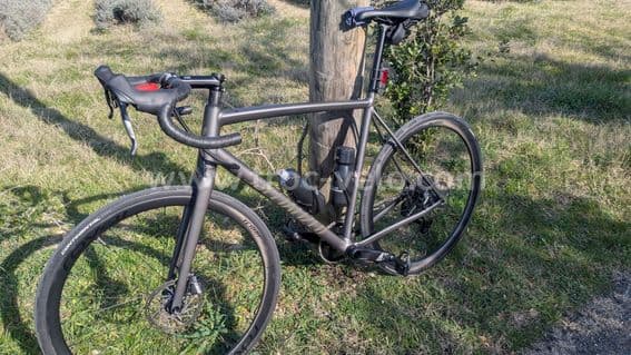 CRUX DSW COMP - 4