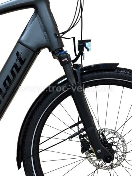 Diamant Opal+ Vélo électrique Shimano Nexus 2022 - 3