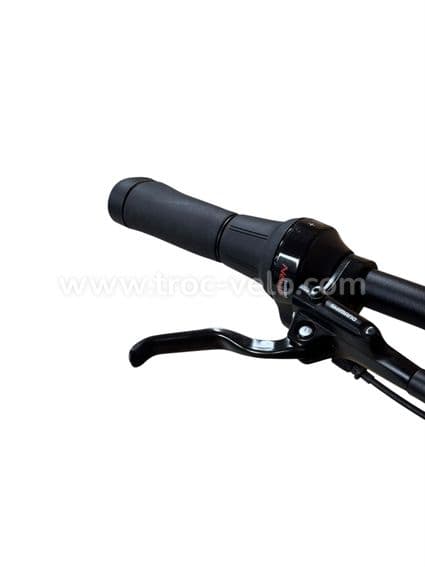 Diamant Opal+ Vélo électrique Shimano Nexus 2022 - 5