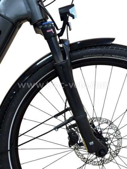 Diamant Opal+ Vélo électrique Shimano Nexus 2022 - 3