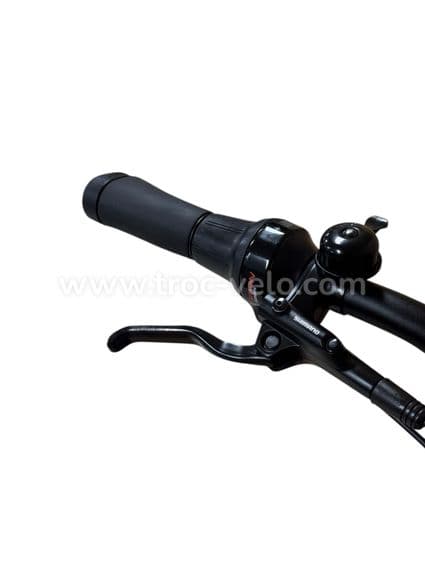 Diamant Opal+ Vélo électrique Shimano Nexus 2022 - 5