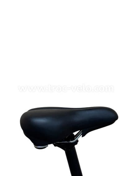 Diamant Opal+ Vélo électrique Shimano Nexus 2022 - 9