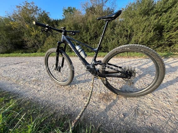 Scott Spark - 5
