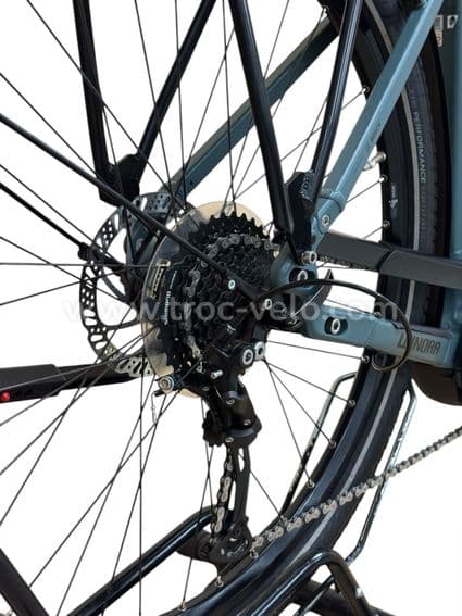 Winora Sinus 9 Vélo électrique Shimano Alivio 2021 - 14