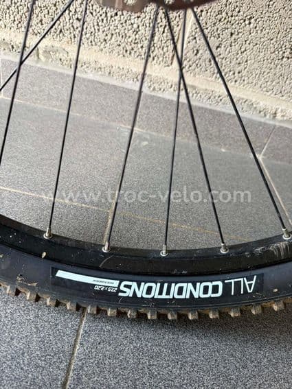 VTT semi-rigide - BH Expert - 10