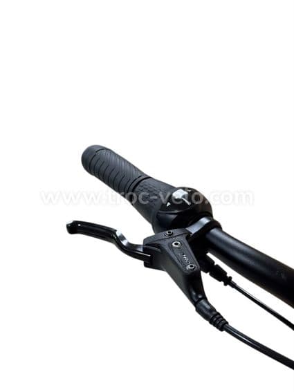 VanDijck Ceto Vélo électrique Shimano Nexus 2021 - 5