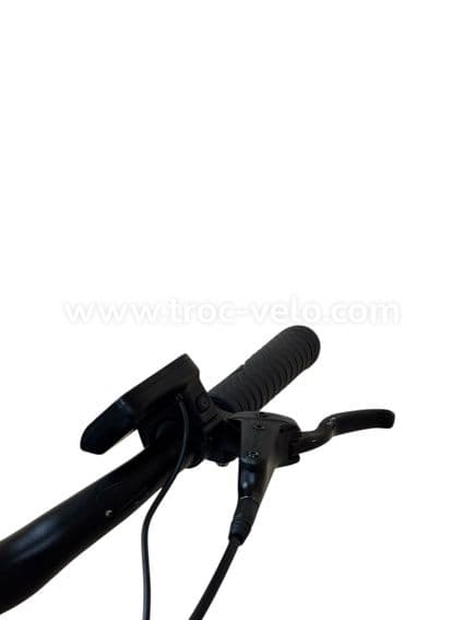 VanDijck Ceto Vélo électrique Shimano Nexus 2021 - 6