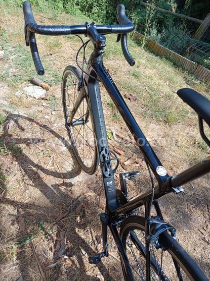 VAN RYSEL EDR CF Ultegra - 4