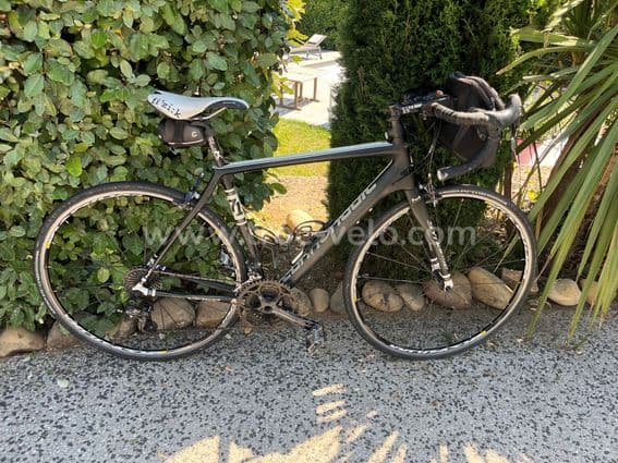 CANNONDALE SYNAPSE HM CAMPAGNOLO - 2