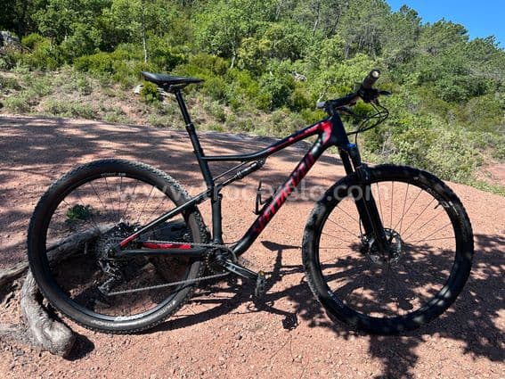 Specialized Epic - 1