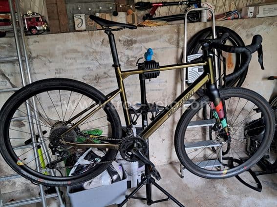 Gravel bergamont taille 55 - 1